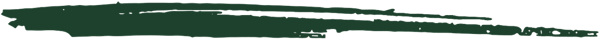 divider_green