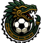 fcDragonsLogo2026